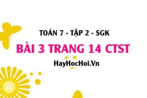 Bài 3 trang 14 Toán 7 Tập 2 Chân trời sáng tạo